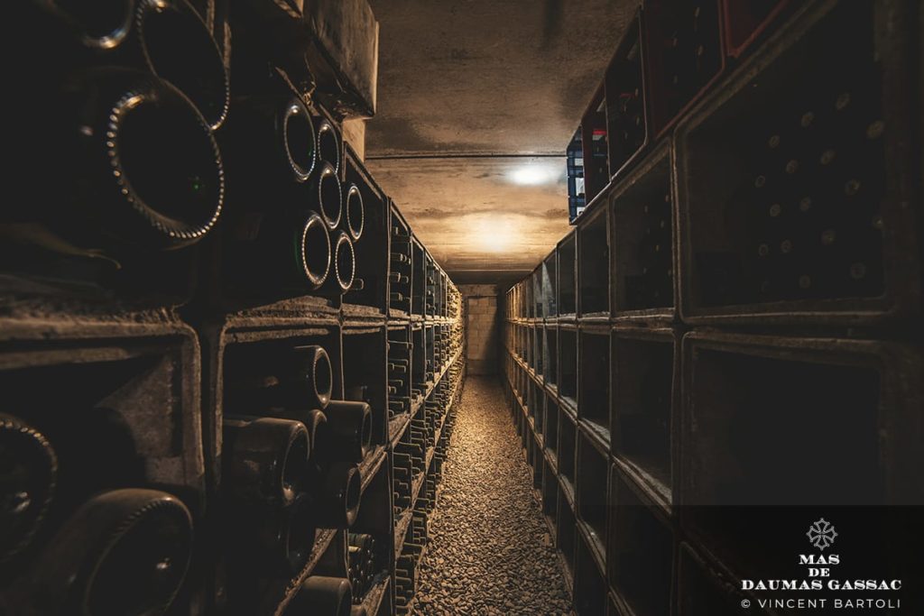 Vinothèque du domaine montrant les différents casiers où les différents millésimes des Mas de Daumas Gassac blancs et rouges sont gardés précieusement.
