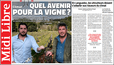 Visuel article de presse sur le gel 2021 dans le Midi Libre.